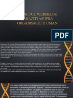 Impactul viermilor paraziti asupra organismului uman