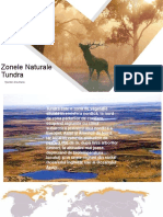 Zone Naturale. Tundra