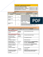 Plan para La Dirección Del Proyecto Anfiteatro Rev1