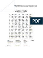 Sopa de Letras Ciclo de Vida