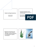 coloratia-gram(1).pdf