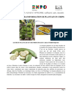 diana-5._INV_SC_CONSeTRASF_05_Guide_Pratique_de_Transformation_di_Plantain_in_Chips