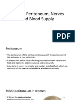 3.pelvis - Peritoneum, Nerves and Blood Supply