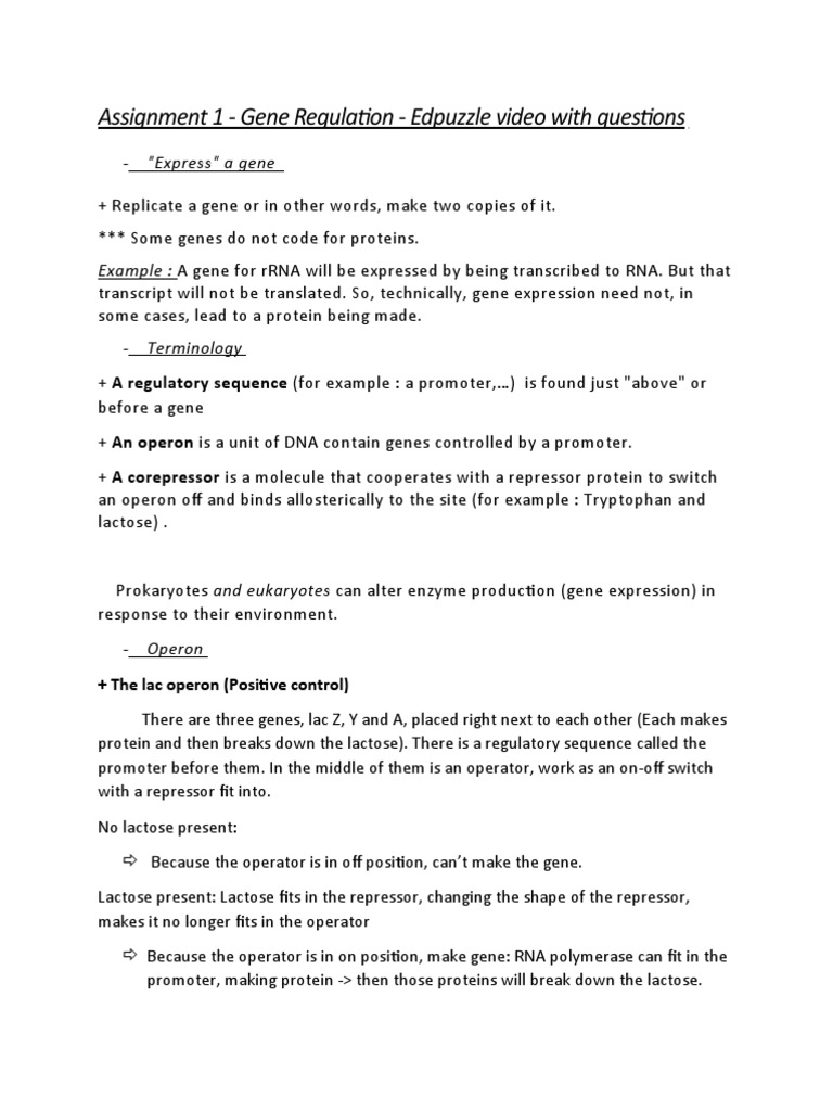 Assignment 1 Gene Regulation Edpuzzle Video With Questions PDF