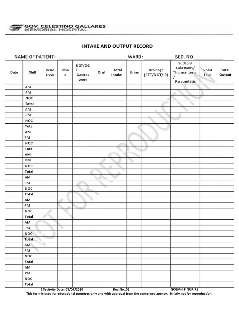 Intake and Output Record | PDF