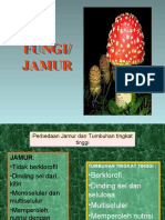 Jamur dan Tumbuhan Tinggi