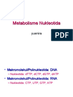 4. Metabolisme Nukleotida.ppt