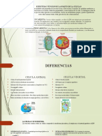 Estrutura y Funcion de Las Partes de Las