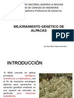 Clases de Nejoramiento Genético