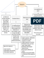 Mapa Conceptual Tabaquismo