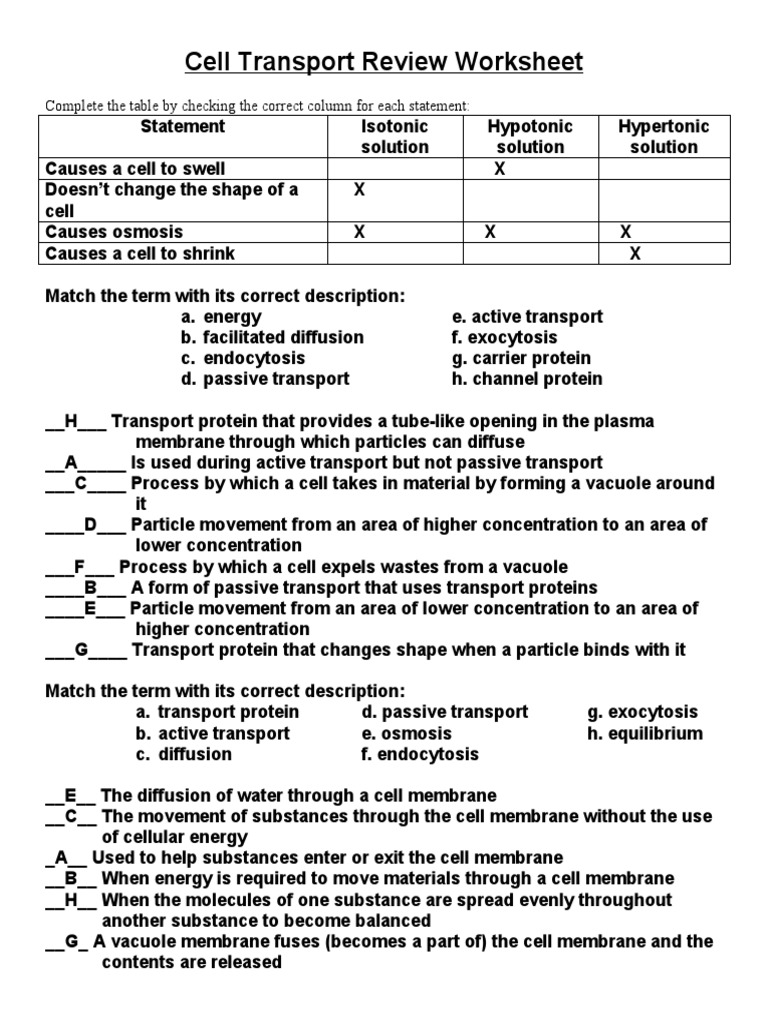 cell-transport-review-worksheet-complete-the-table-by-checking-the-correct-column-for-each-statement-pdf-cell-membrane-osmosis