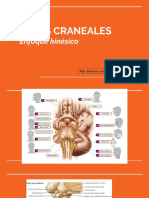 PARES CRANEALES (Evaluación y Patologías) PDF