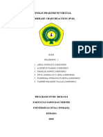 Laporan Biosel PCR Kel.2