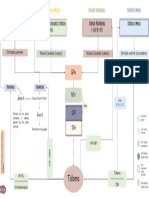 Nucleos Basales PDF