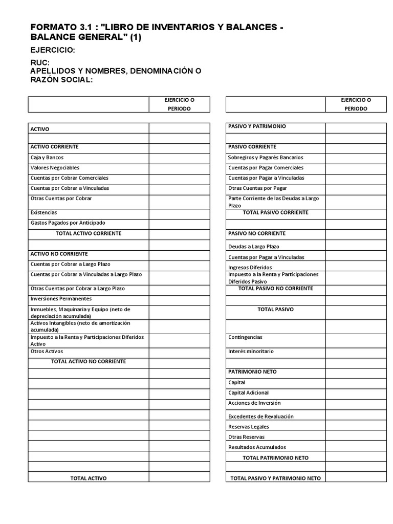 Formato 3.1 de Balance General | PDF | Activo fijo | Hoja de balance