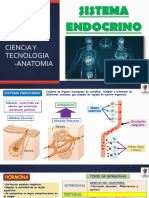 Clase14 Sist Endocri Impr 1 PDF