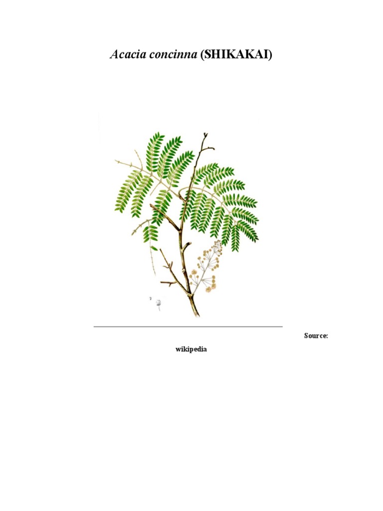 Shikakai | PDF | Seed | Organisms