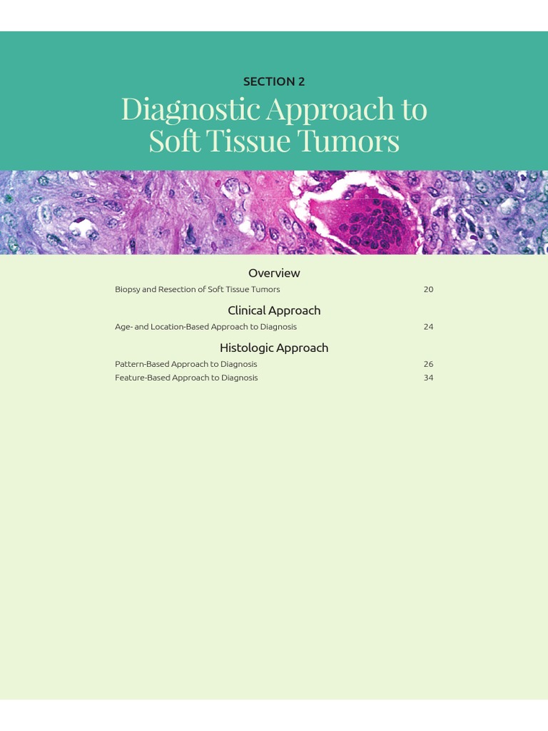 Diagnostic Approach To Soft Tissue Tumors: Section 2 | PDF | Biopsy ...