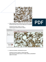 Análisis Petrográfico de Rocas Siliciclásticas