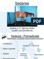 Sedation Rom AH PDF
