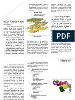 El Espacio Geográfico Venezolano