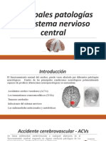 Principales Patologías Del Sistema Nervios