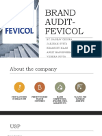 Brand Audit-Fevicol: By: Raghav Chopra Saksham Gupta Himanshu Maan Ankit Mansinghka Vidhika Gupta