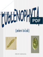 BOTANIKA-MB-03 - Euglenophyta