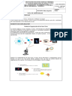 Taller1biologia Sexto 2P