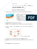 123324276_rochas_metamorficas.pdf