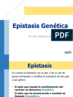 Epistasis Genética