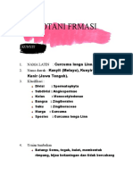 Kunyit, Rempah Bergizi untuk Kesehatan