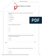 Photosynthesis Quiz worksheet.pdf