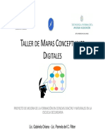 CmapPrimerosPasos PDF