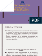 Especialización, Jerarquia y Coordinación