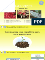 THALLOPHYTA_TUMBUHAN_BERORGANISASI_SEDERHANA