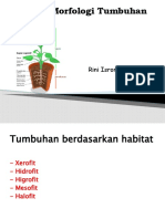 Morfologi Tumbuhan.pptx