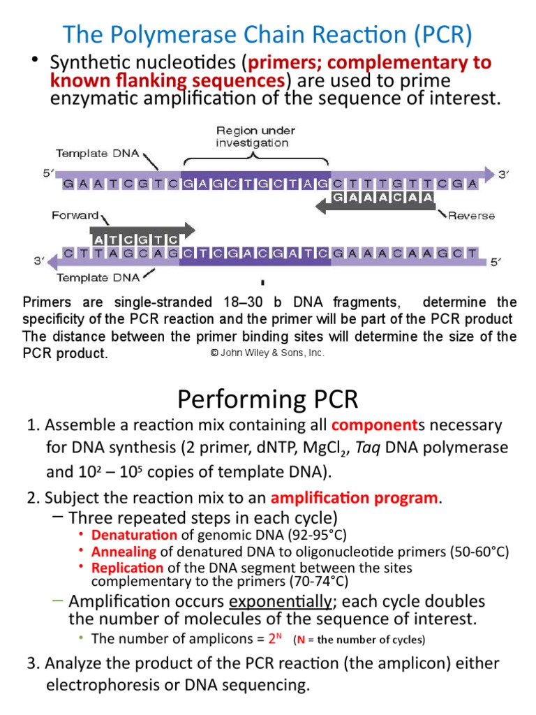 4 A PCR and Applications | PDF | Polymerase Chain Reaction | Real Time ...