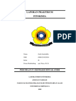 PrakFitokimia (4) SyifaSyalsabilla 08061281823024 Kel.B PDF