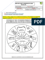 2 Prim - Ciencia y Tecnología - Semana 36