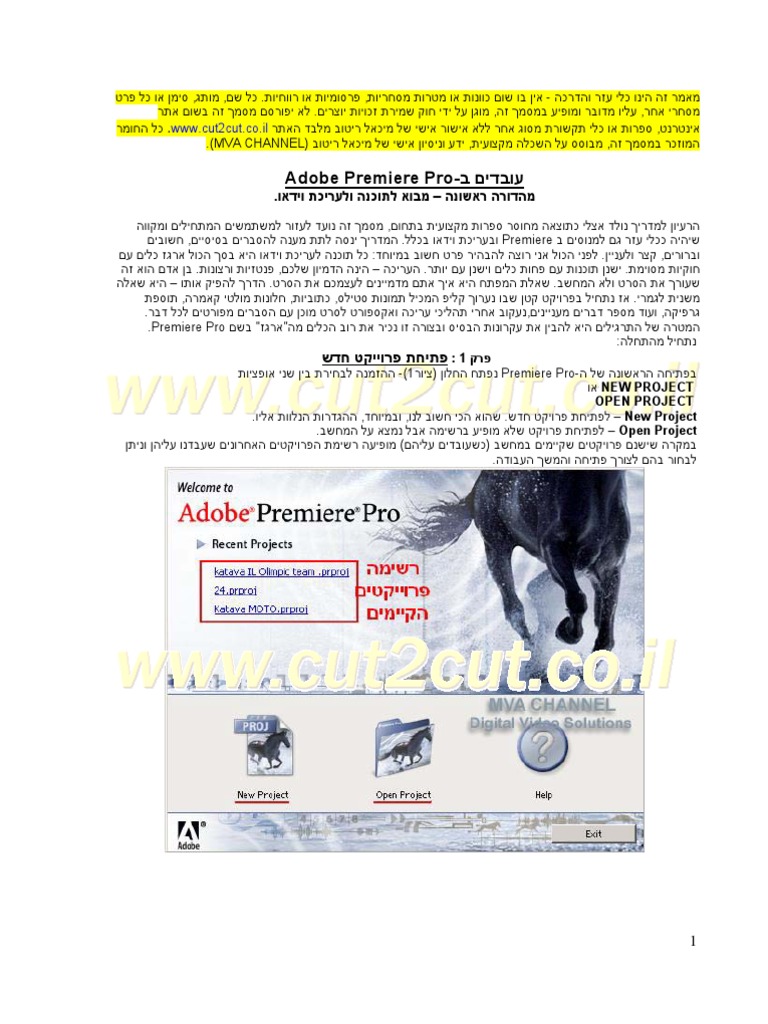 Edit Video With Adobe PR | PDF