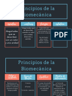 Principios de La Biomecanica