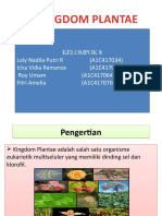 PPT Kingdom plantae fix
