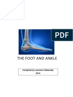 Foot and Ankle