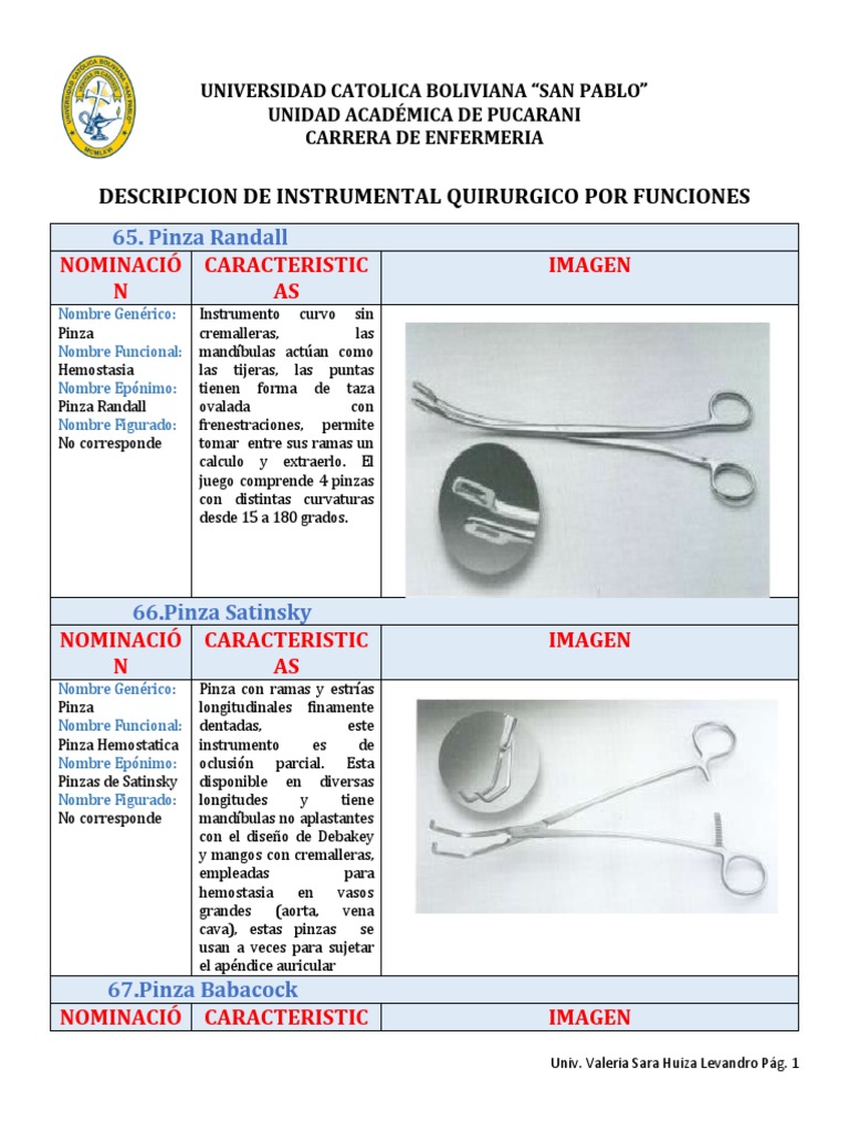 Trastornado suficiente Psicologicamente Descripcion de Instrumental Quirurgico Por Funciones: 65. Pinza Randall |  PDF | Medicina CLINICA | Especialidades Medicas