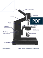 Microscópio Ampliar