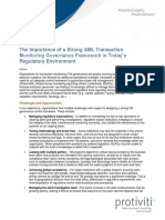 Pov Aml Transaction Monitoring Governance Framework Protiviti