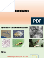 Baculovírus: agentes de controle microbiano