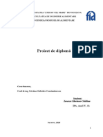 Proiect-de-diploma.docx
