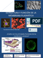 Membrana Plasmática PDF